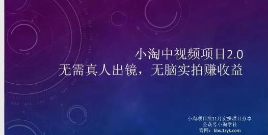 小淘项目组网赚永久会员，绝对是具有实操价值的，适合有项目做需要流程【持续更新】-即时风口网