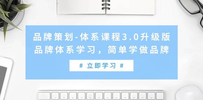 品牌策划-体系课程3.0升级版，品牌体系学习，简单学做品牌（高清无水印）-即时风口网