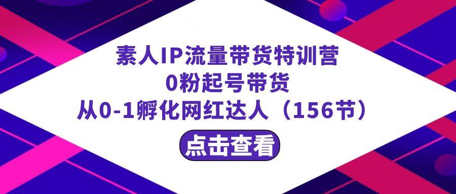 繁星·计划素人IP流量带货特训营：0粉起号带货 从0-1孵化网红达人（156节）-即时风口网