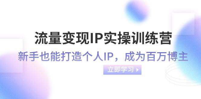 流量变现-IP实操训练营：新手也能打造个人IP，成为百万博主（46节课）-即时风口网