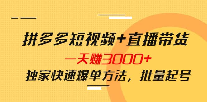 拼多多短视频+直播带货，一天赚3000+独家快速爆单方法，批量起号-即时风口网