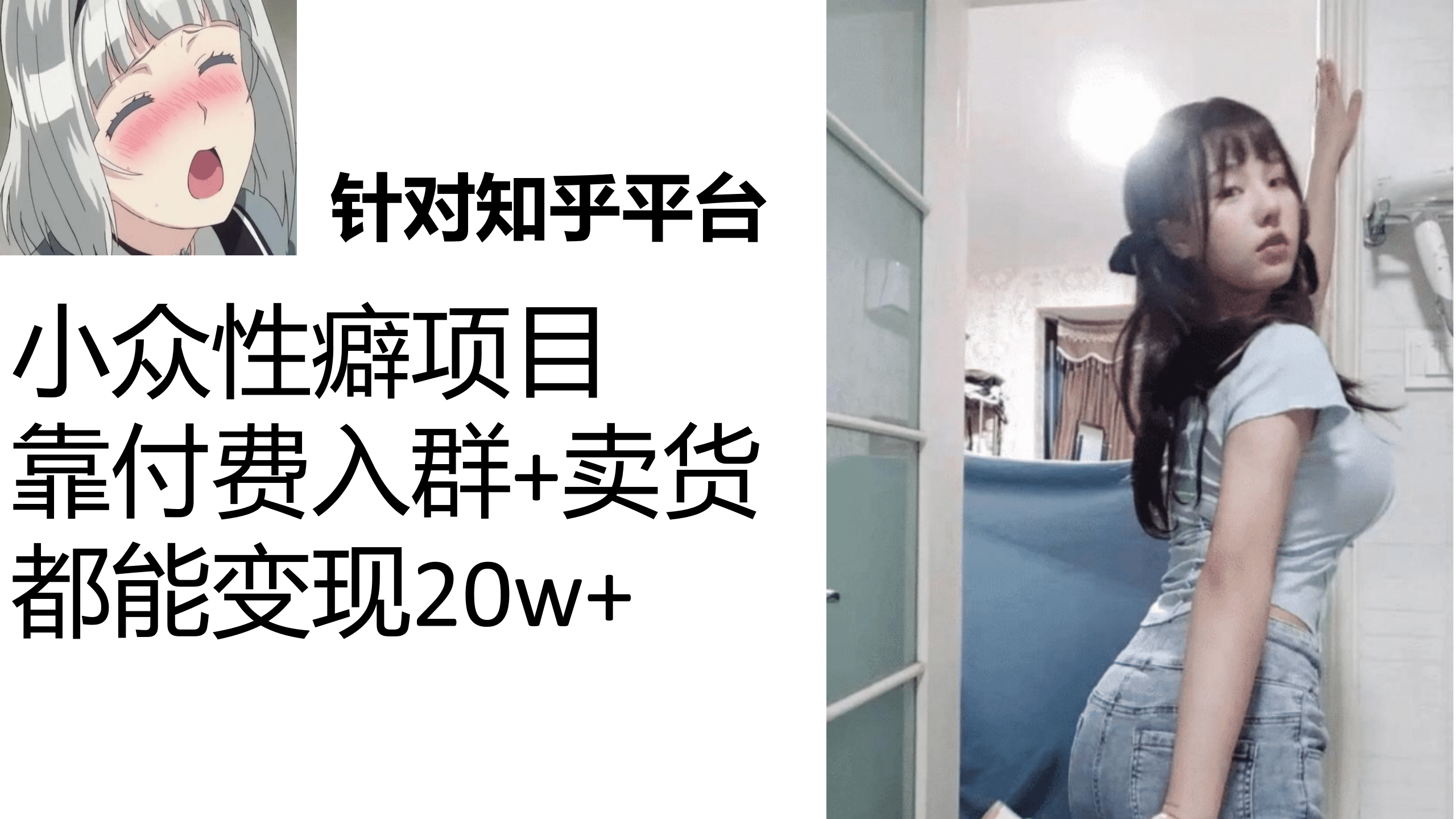 知乎小众性癖项目，Lsp的钱才是最好赚的，付费建群+卖货变现20w-即时风口网