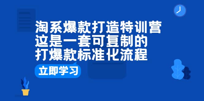 淘系爆款打造特训营：这是一套可复制的打爆款标准化流程-即时风口网