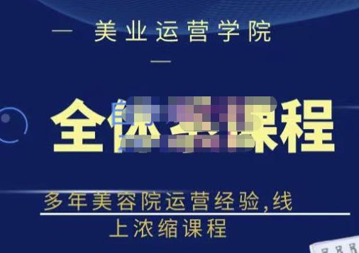 网红美容院全套营销落地课程，多年美容院运营经验，线上浓缩课程-即时风口网