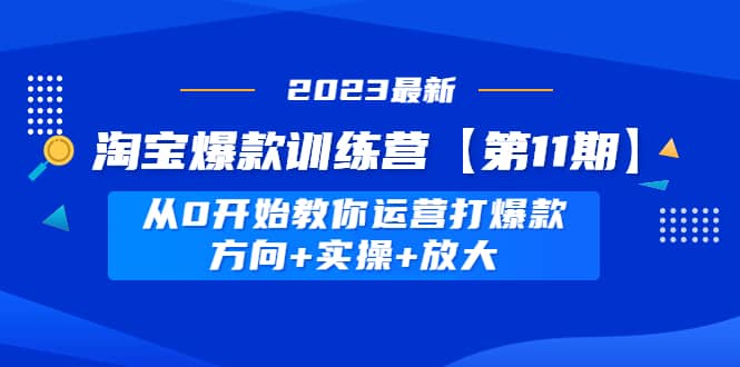 淘宝爆款训练营【第11期】 从0开始教你运营打爆款，方向+实操+放大-即时风口网