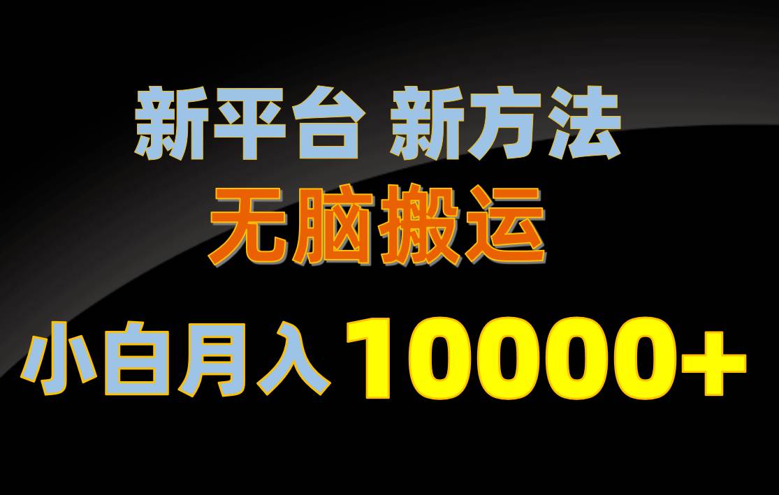 新平台新方法，无脑搬运，月赚10000+，小白轻松上手不动脑-即时风口网