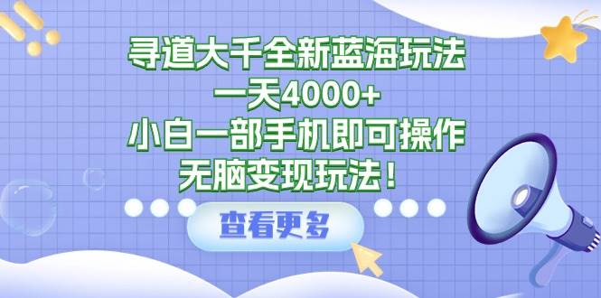 寻道大千全新蓝海玩法，一天4000+，小白一部手机即可操作，无脑变现玩法！-即时风口网