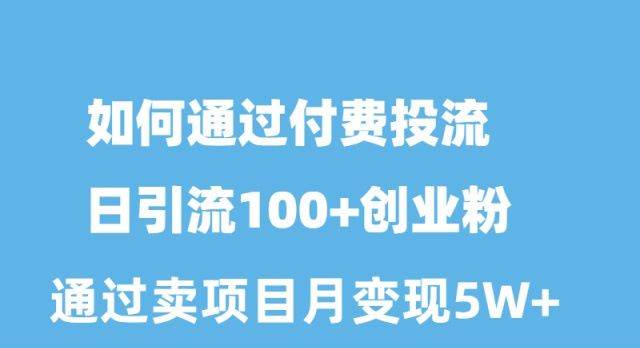 如何通过付费投流日引流100+创业粉月变现5W+-即时风口网