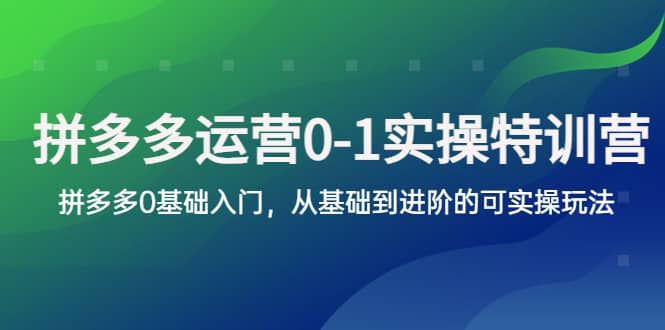 拼多多-运营0-1实操训练营，拼多多0基础入门，从基础到进阶的可实操玩法-即时风口网