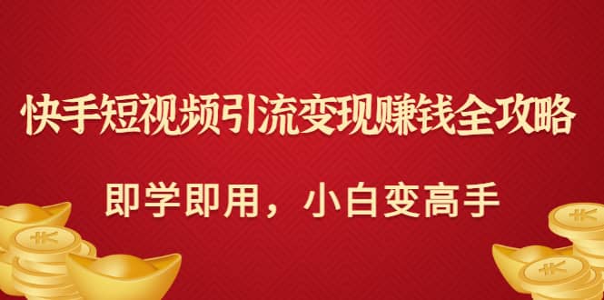 快手短视频引流变现赚钱全攻略：即学即用，小白变高手（价值980元）-即时风口网