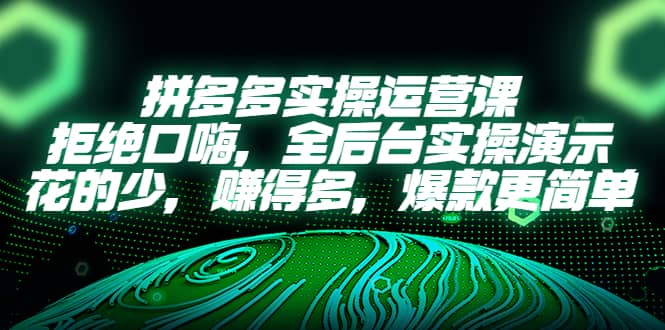 拼多多实操运营课：拒绝口嗨，全后台实操演示，花的少，赚得多，爆款更简单-即时风口网