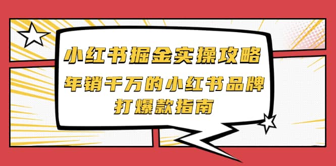 小红书掘金实操攻略，年销千万的小红书品牌打爆款指南-即时风口网