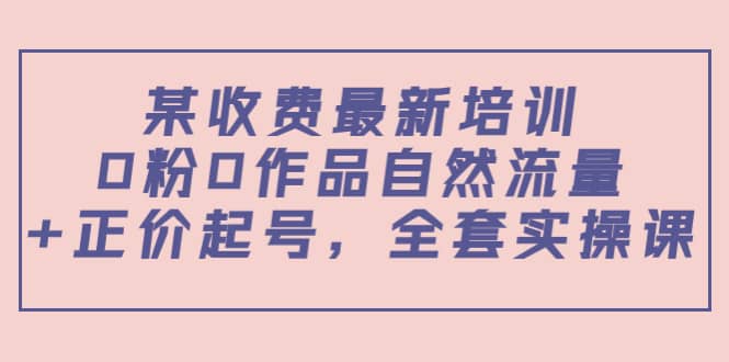 某收费最新培训：0粉0作品自然流量+正价起号，全套实操课-即时风口网