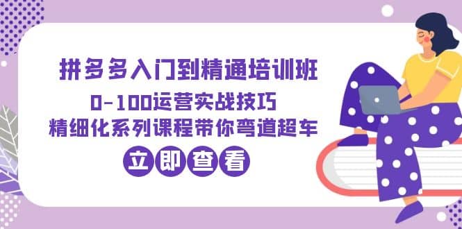 2023拼多多入门到精通培训班：0-100运营实战技巧 精细化系列课带你弯道超车-即时风口网