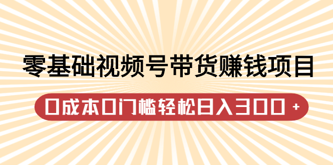 零基础视频号带货赚钱项目，0成本0门槛轻松日入300+【视频教程】-即时风口网