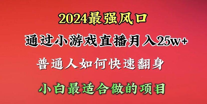 2024年最强风口，通过小游戏直播月入25w+单日收益5000+小白最适合做的项目-即时风口网