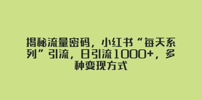 揭秘流量密码，小红书“每天系列”引流，日引流1000+，多种变现方式-即时风口网