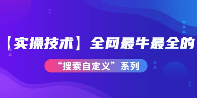 【实操技术】全网最牛最全的“搜索自定义”系列！价值698元-即时风口网