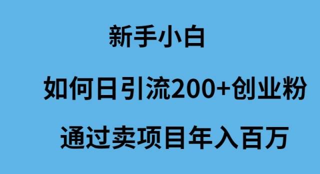 新手小白如何日引流200+创业粉通过卖项目年入百万-即时风口网