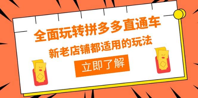 全面玩转拼多多直通车，新老店铺都适用的玩法（12节精华课）-即时风口网