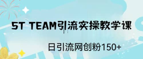 ST TEAM引流实操课，日引流网创粉100+-即时风口网