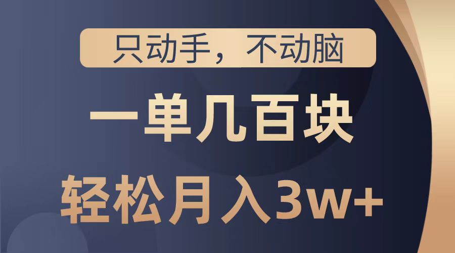 只动手不动脑，一单几百块，轻松月入2w+，看完就能直接操作，详细教程-即时风口网