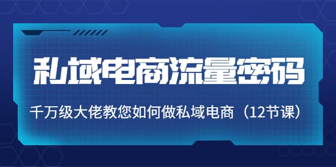 私域电商流量密码：千万级大佬教您如何做私域电商（12节课）-即时风口网