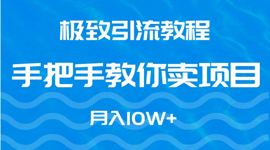 极致引流教程，手把手教你卖项目，月入10W+-即时风口网