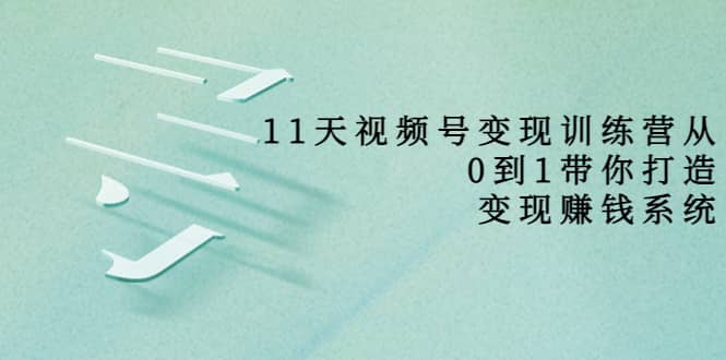 好望角·11天视频号变现训练营，从0到1打造变现赚钱系统（价值398）-即时风口网