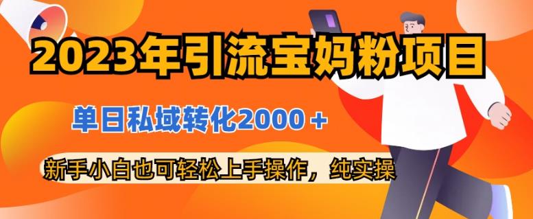 2023年引流宝妈粉项目，单日私域转化2000＋，新手小白也可轻松上手操作，纯实操-即时风口网