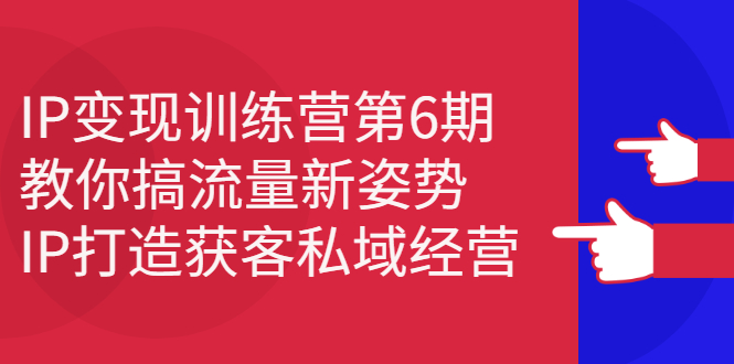 IP变现训练营第6期：教你搞流量新姿势，IP打造获客私域经营-即时风口网