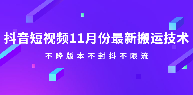 抖音短视频11月份最新搬运技术，不降版本不封抖不限流！【视频课程】-即时风口网