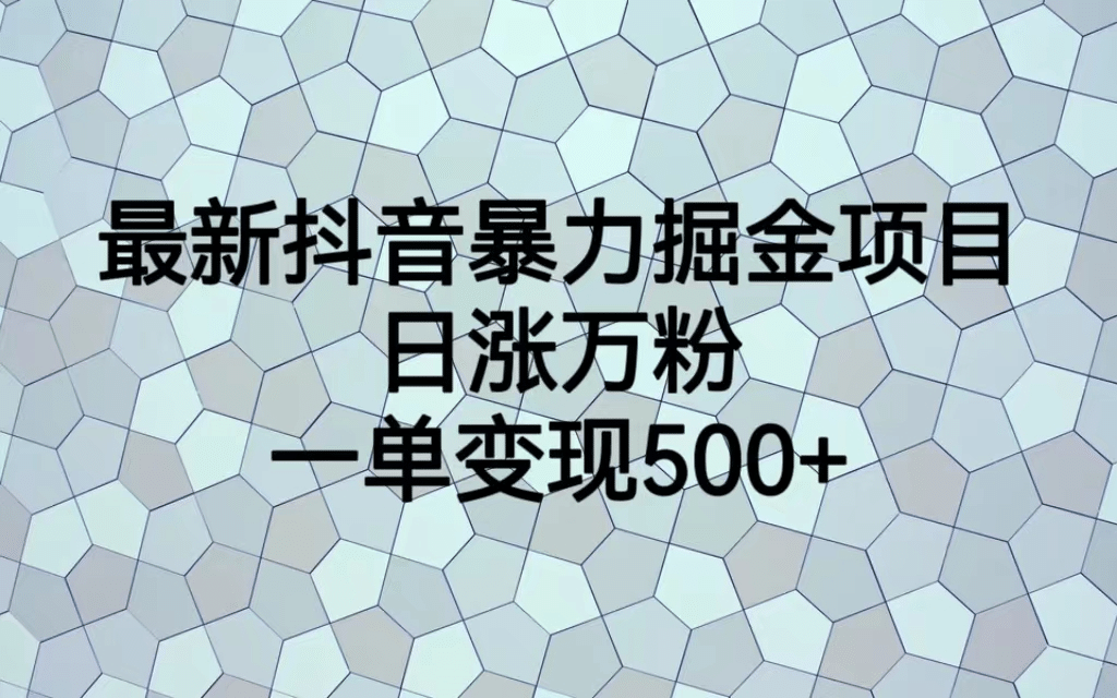 最火热的抖音暴力掘金项目，日涨万粉，多种变现方式，一单变现可达500+-即时风口网