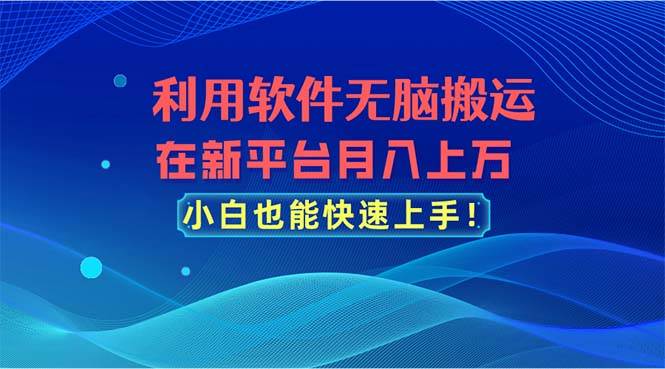 利用软件无脑搬运，在新平台月入上万，小白也能快速上手-即时风口网