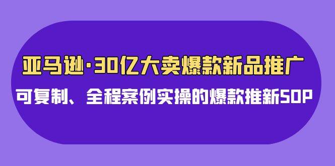 亚马逊30亿·大卖爆款新品推广，可复制、全程案例实操的爆款推新SOP-即时风口网