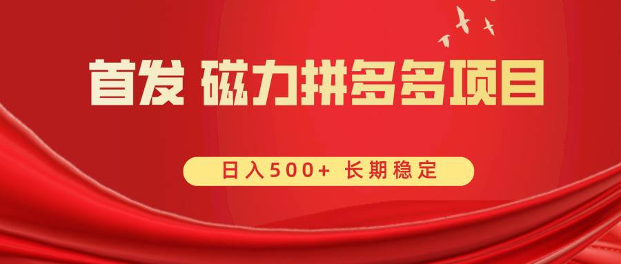 首发 磁力拼多多自撸  日入500+-即时风口网