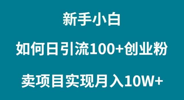 新手小白如何通过卖项目实现月入10W+-即时风口网