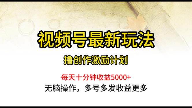 视频号最新玩法，每日一小时月入5000+-即时风口网