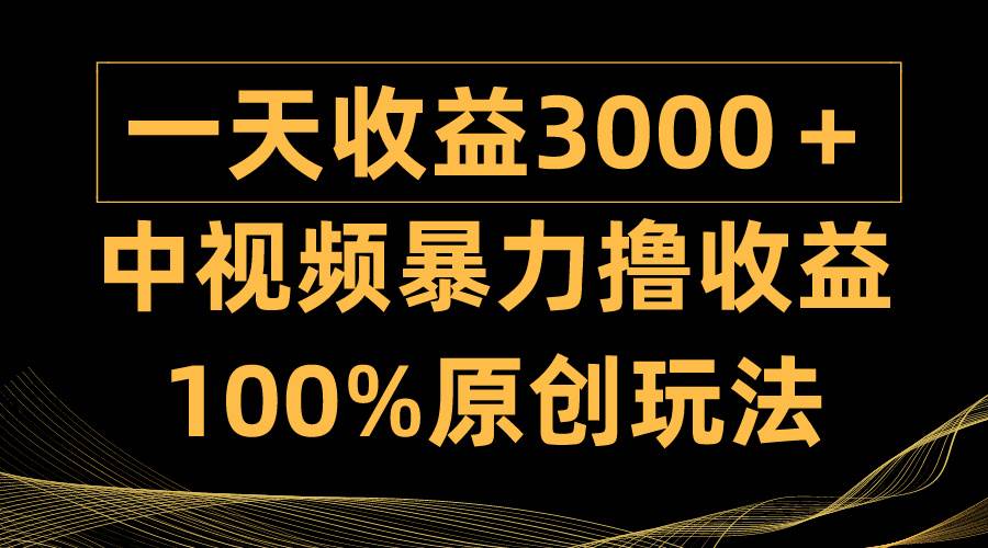 中视频暴力撸收益，日入3000＋，100%原创玩法，小白轻松上手多种变现方式-即时风口网