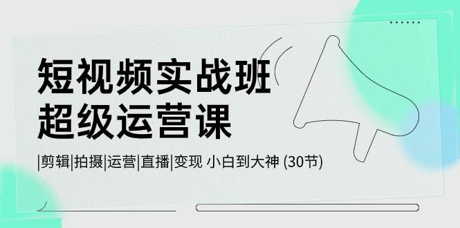 短视频实战班-超级运营课，|剪辑|拍摄|运营|直播|变现 小白到大神 (30节)-即时风口网