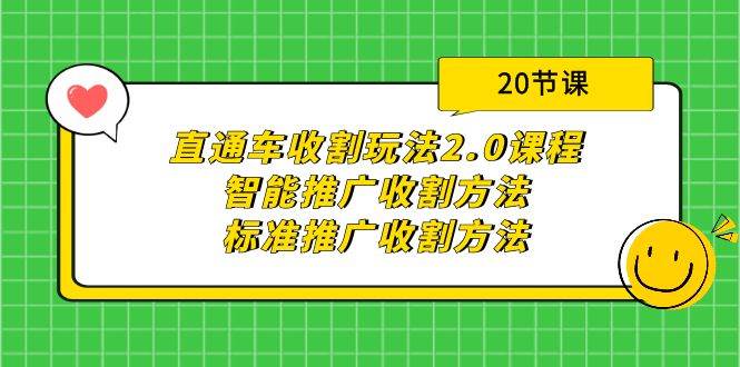 直通车收割玩法2.0课程：智能推广收割方法+标准推广收割方法（20节课）-即时风口网