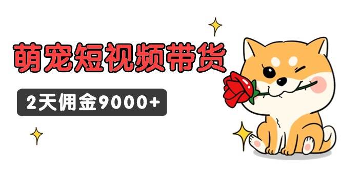 东哲日记·萌宠短视频带货，2天佣金9000+-即时风口网