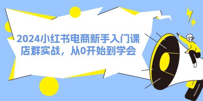 2024小红书电商新手入门课，店群实战，从0开始到学会（31节）-即时风口网