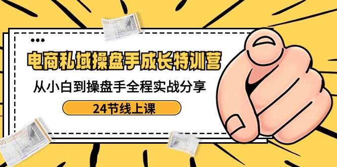 电商私域-操盘手成长特训营：从小白到操盘手全程实战分享-24节线上课-即时风口网