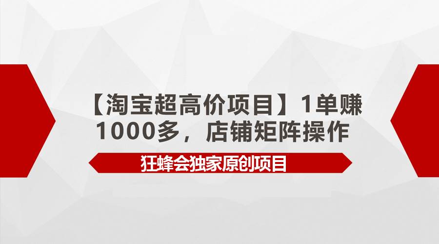 【淘宝超高价项目】1单赚1000多，店铺矩阵操作-即时风口网