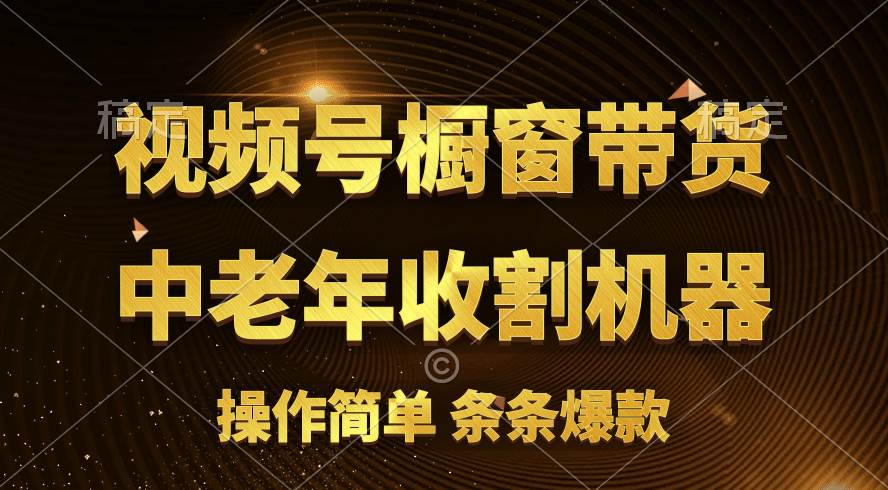 [你的孩子成功取得高位]视频号最火爆赛道，橱窗带货，流量分成计划，条…-即时风口网