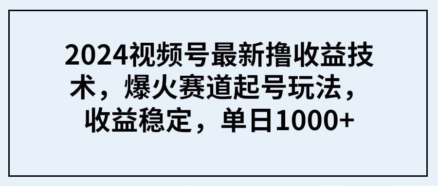 2024视频号最新撸收益技术，爆火赛道起号玩法，收益稳定，单日1000+-即时风口网