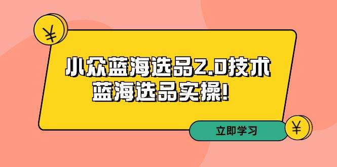 拼多多培训第33期：小众蓝海选品2.0技术-蓝海选品实操！-即时风口网