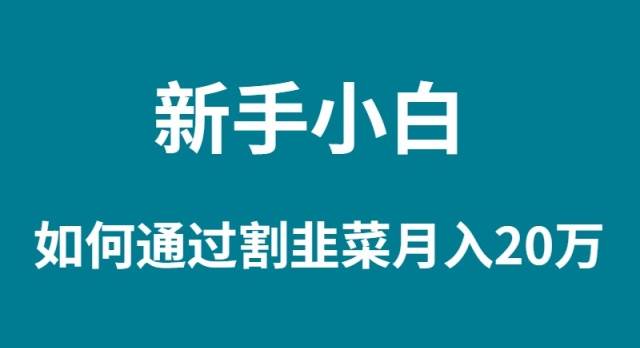 新手小白如何通过割韭菜月入 20W-即时风口网