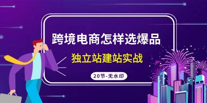 跨境电商怎样选爆品，独立站建站实战（20节高清无水印课）-即时风口网